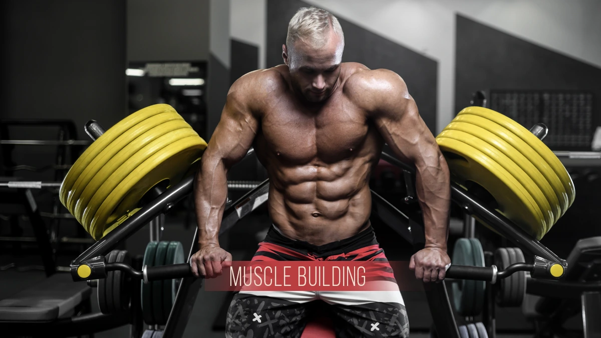 Complete Gym Workout Plan for Muscle Building